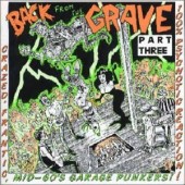 V.A. 'Back From The Grave Vol. 3'